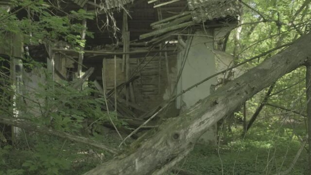 Derelict house, Zalissya, Chernobyl 