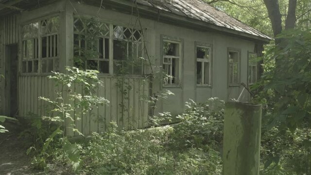 Derelict house, Zalissya, Chernobyl 