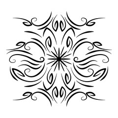 divider decoration swirl ornament floral icon