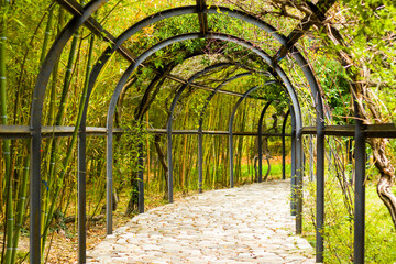 Natural tunnel in the park, green colors plant and iron fence