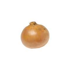 A piece of onion on white background