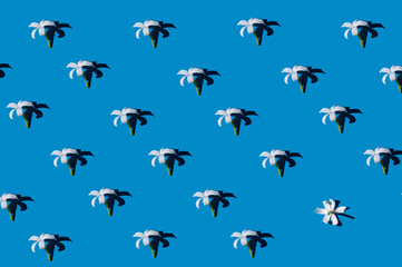 little white flowers with hard shadows on a bright blue background. flat lay, top view.