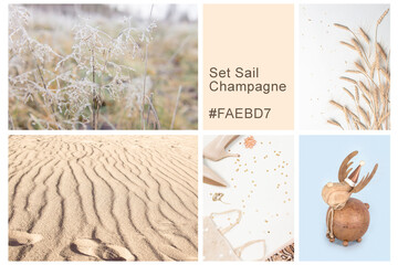 Collage set made of photos toning in Sail Champagne color. Trendy creative design in color of 2021