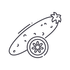 Cucumber icon, linear isolated illustration, thin line vector, web design sign, outline concept symbol with editable stroke on white background.