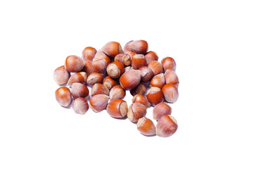 nuts hazelnuts, in shell isolated on white background
