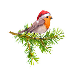 Bird in red holiday hat on christmas tree branch. Watercolor