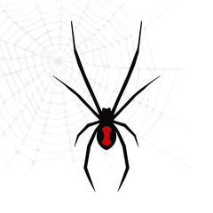 Black Widow spider vector illustration