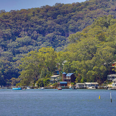 Houses and Boat Sheds amongst the trees on Hawkesbury River on Sydney Central Coast NSW Australia