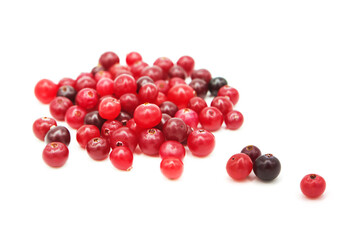 Ripe organic cranberry isolated on white background. Сopy space on a white background.	