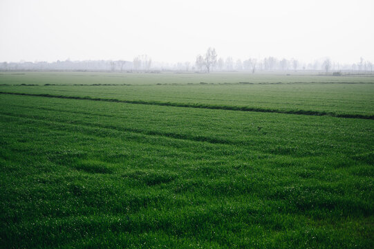 paisaje campa&ntilde;a verde niebla oto&ntilde;o  cespe
