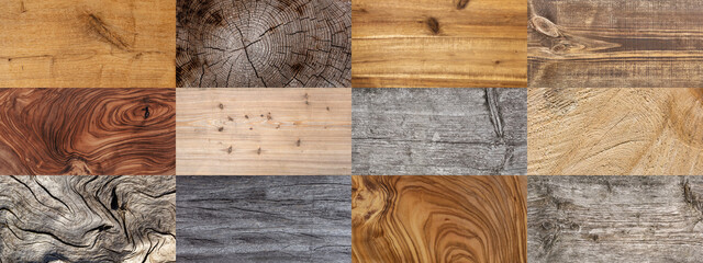set of 12 wooden backgrounds - wood textures 