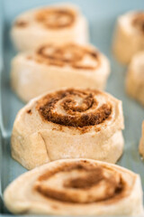 Cinnamon rolls