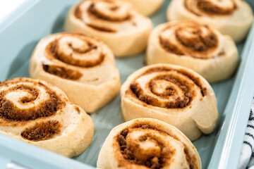 Cinnamon rolls
