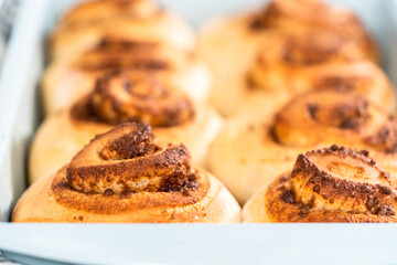 Cinnamon rolls
