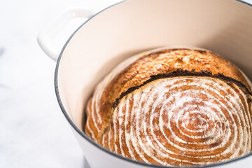 Wheat Sourdough Bread