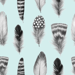 feathers sketch graphics interesting beautiful feather pencil drawing print illustration pattern 2