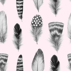 feathers sketch graphics interesting beautiful feather pencil drawing print illustration pattern 3