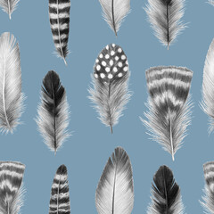 feathers sketch graphics interesting beautiful feather pencil drawing print illustration pattern 5