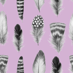 feathers sketch graphics interesting beautiful feather pencil drawing print illustration pattern 6