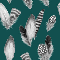 feathers sketch graphics interesting beautiful feather pencil drawing print illustration pattern with a group of feathers 8