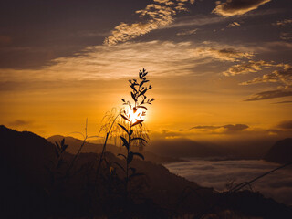 sunset in the mountains © efra