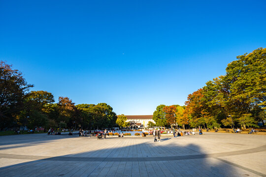 上野公園・景色・超広角撮影