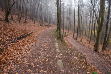 Naklejka premium Altstraße