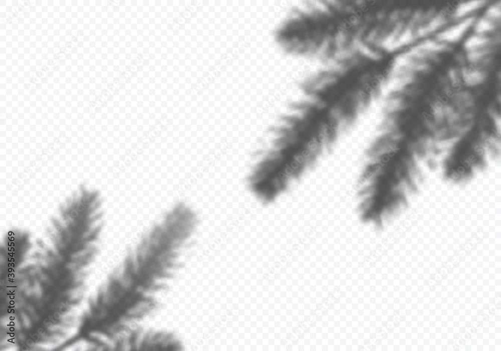 Poster transparent vector shadow of christmas tree branches. decorative design element for collage and mock