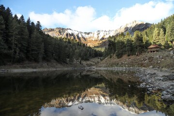 Autumn forest lake water view. Forest lake water in autumn. Autumn forest lake. Autumn forest lake view