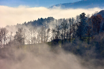 Herbstliche Stimmung - Wald und Berg im Nebel