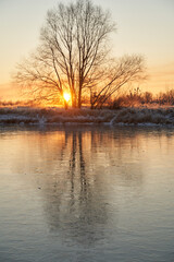 Breath of winter, first ice on the lake, dawn on a frosty morning with frost on the grass, close-up of frost, patterns on the first ice.