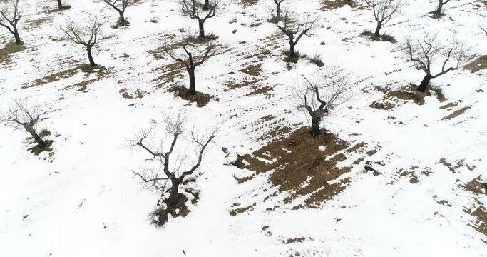 Paisaje nevado  de cultivo con drone 