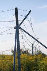 Fototapeta premium silhouette of Barbed wire on sunset background