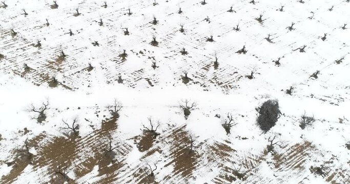 Paisaje de cultivo nevado con drone 