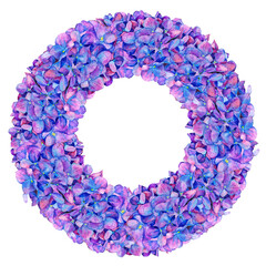 hydrangea. Frame made of flowers. Flowers in a circle. Purple petals watercolor illustration for invitations and holidays