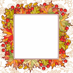 colorful leaf square autumn dry leaves pattern and orange leaf on white.