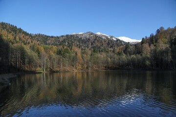 Fototapeta na wymiar Autumn forest lake water view. Forest lake water in autumn. Autumn forest lake. Autumn forest lake view