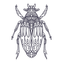 beetle hand drawn vector illustration with doodle style