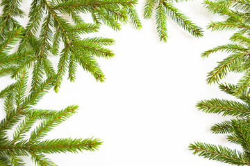 Fototapeta premium Natural frame of fresh green spruce branches on a white background. Christmas, new year, Christmas tree. Copy space