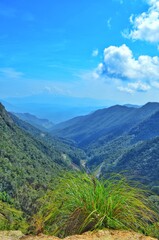 Fototapeta premium beautiful chain of mountains covered with green trees against a blue sky