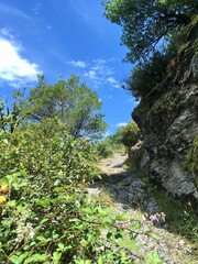 hiking trail in the mountains