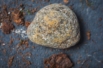 Still life- stones in green moss for interior decoration