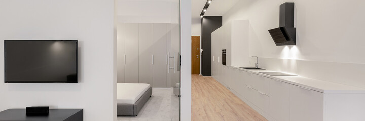 Spacious white apartment, panorama