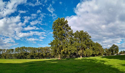 Beautiful panoramic view of a park with green grass, tall trees and paved trail for walking and cycling, Reid Park, Parramatta Cycleway, Rydalmere, Sydney, New South Wales, Australia
