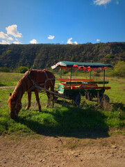 Old horse-drawn taxi carriage with one light brown horse parked on a beautiful hill. High mountains and blue sky with white clouds in the background. Rustic peisage.