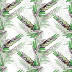 Decorative ear.Watercolor wheat ears seamless pattern.Image of ears of wheat on a white and colored background.