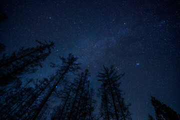 長野県阿智村　日本一の星空