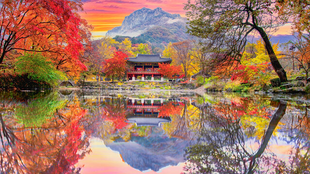 Baekyangsa Temple in autumn,Naejangsan Park in korea.