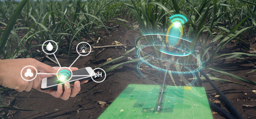 ot smart industry robot 4.0 agriculture concept,agronomist,smart farmer using smart glasses (augmented mixed virtual reality,artificial intelligence technology) to monitoring,control in farm