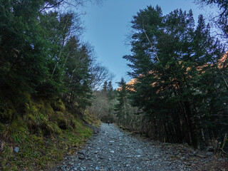 The Valley Val d’Astau, southwest of Bagneres de Luchon in the French Pyrenees. The trail to Lake d'Oô, Haute-Garonne, France. The dominant tree species are deciduous trees (Elm, Ash, Maple).